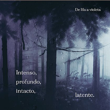 Ilustración de @cris_shamrock